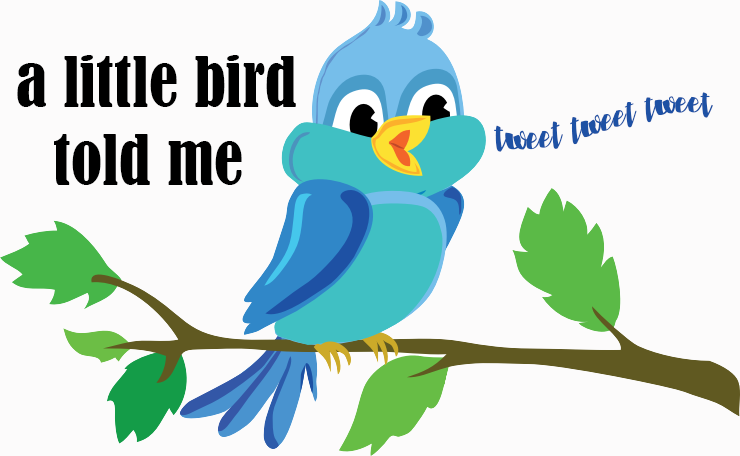 idiom a little bird told me