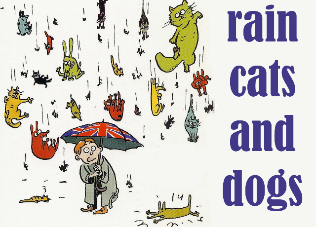 idiom rain cats and dogs